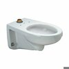 Zurn Elongated Wall Hung Flush Valve Toilet (with Antimicrobial Glaze) Z5615-BWL-AM